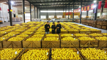 柑橘、檸檬、大蒜……重慶特色農(nóng)產(chǎn)品出海喜迎“開門紅”