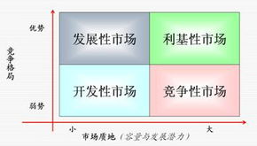 信息咨詢服務 提升決策效率與業務發展的關鍵支持