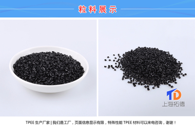 TPEE帝斯邁EB501 上海信息咨詢(xún)服務(wù)解析